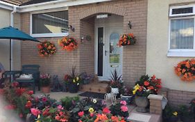 Lowefield B&B